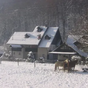 Gubanec Cerklje na Gorenjskem