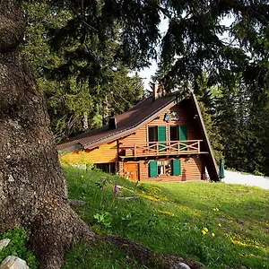 Alpinka Cerklje na Gorenjskem
