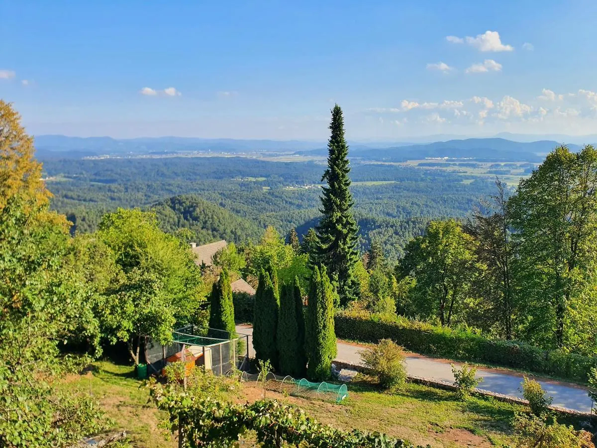 Veronica'S Place In The Mountains Slovenia